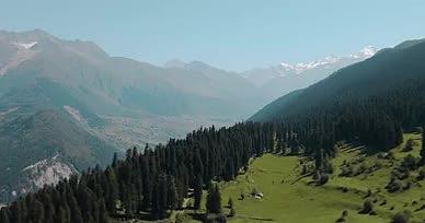 航拍新疆那拉提空中草原视频的预览图